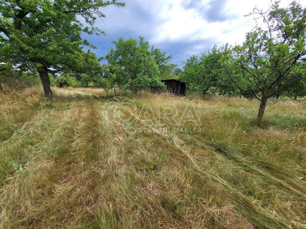 Prodej pozemku pro bydlení, Zdechovice, 2142 m2