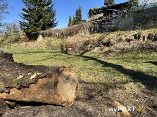 Prodej zahrady, Těšovice, 444 m2