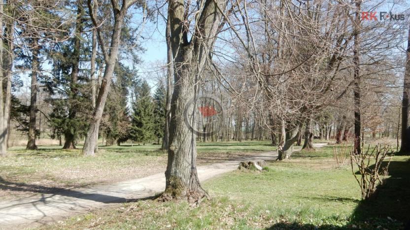 Prodej rodinného domu, Jemnice, Polická, 150 m2