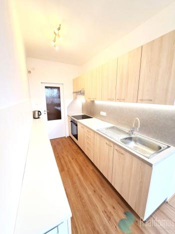 Pronájem bytu 1+1, České Budějovice, Kubatova, 50 m2