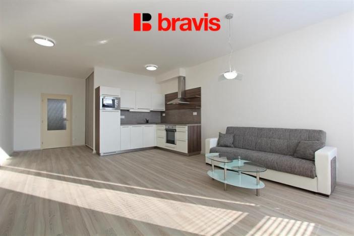 Pronájem bytu 1+kk, Brno, Kamínky, 48 m2