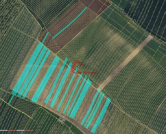 Prodej pole, Brumovice, 63768 m2