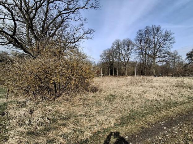 Prodej pozemku pro bydlení, Milíkov, 4644 m2