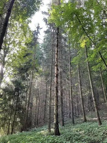 Prodej podílu pozemku, Útěchov, 37614 m2