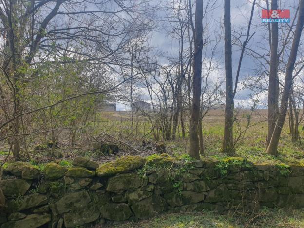 Prodej pole, Kozlovice, 1818 m2