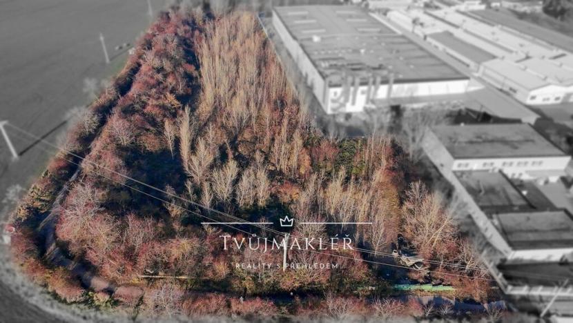 Prodej pozemku, Brno, Vídeňská, 12065 m2