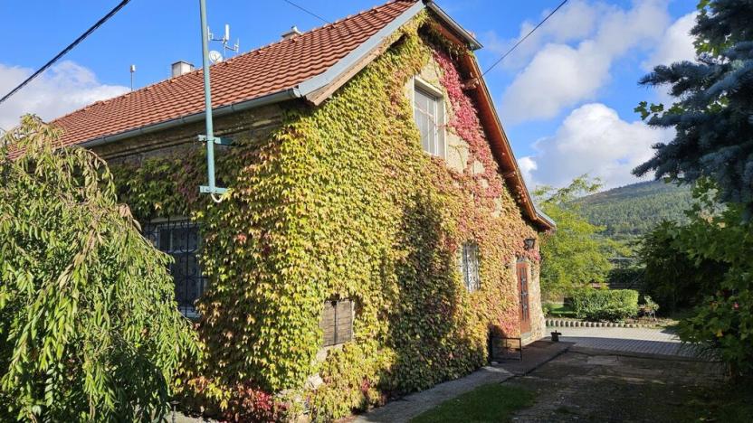 Prodej rodinného domu, Velký Chlumec - Malý Chlumec, 210 m2