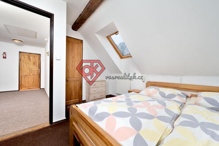 Prodej ubytování, Orličky, 440 m2