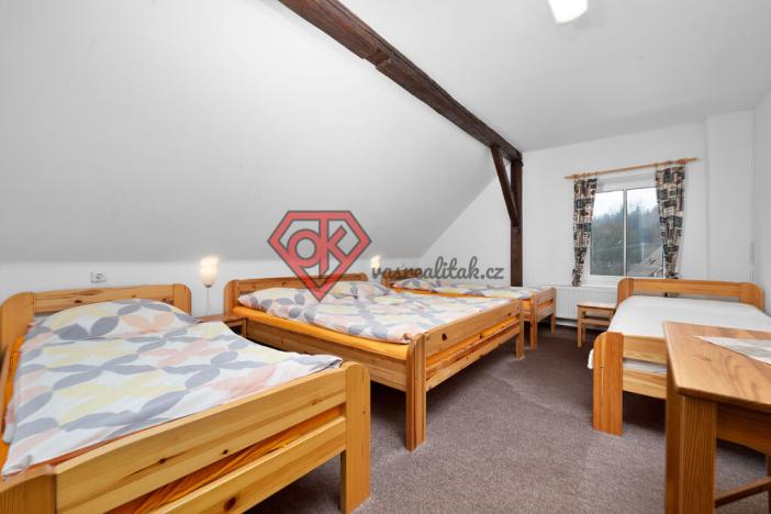 Prodej ubytování, Orličky, 440 m2