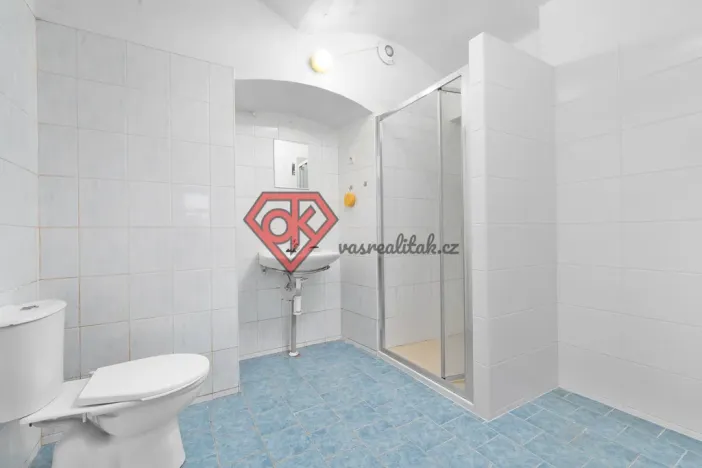 Prodej ubytování, Orličky, 440 m2