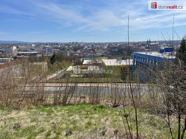 Prodej pozemku pro bydlení, Cheb, Dvořákova, 712 m2