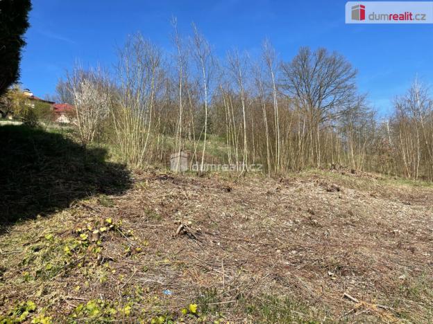 Prodej pozemku pro bydlení, Cheb, Dvořákova, 712 m2