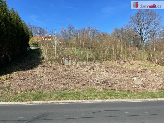 Prodej pozemku pro bydlení, Cheb, Dvořákova, 712 m2