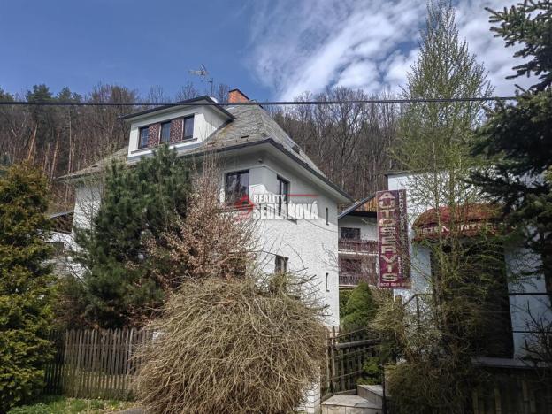 Prodej rodinného domu, Děčín - Děčín IV-Podmokly, Pod Lesem, 267 m2