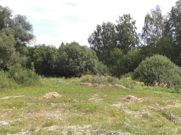 Dražba louky, České Velenice, 13780 m2