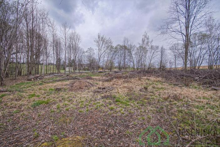 Prodej pole, Mikulovice, Na Bukovci, 6787 m2