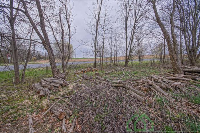 Prodej pole, Mikulovice, Na Bukovci, 6787 m2