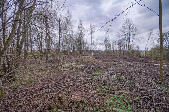 Prodej pole, Mikulovice, Na Bukovci, 6787 m2