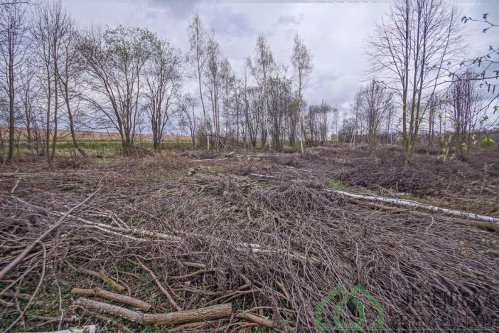 Prodej pole, Mikulovice, Na Bukovci, 6787 m2