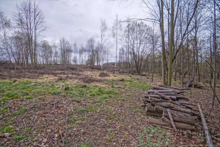 Prodej pole, Mikulovice, Na Bukovci, 6787 m2