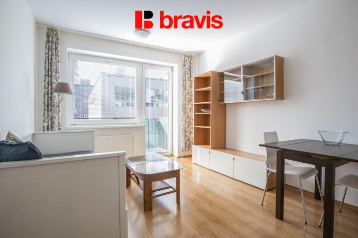 Pronájem bytu 1+kk, Brno, Purkyňova, 30 m2