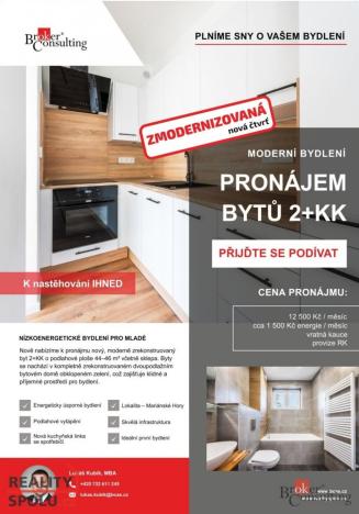 Pronájem bytu 2+kk, Ostrava - Mariánské Hory, Cottonové, 37 m2