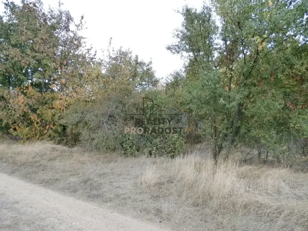 Pronájem zahrady, Znojmo, Leska Horní, 693 m2