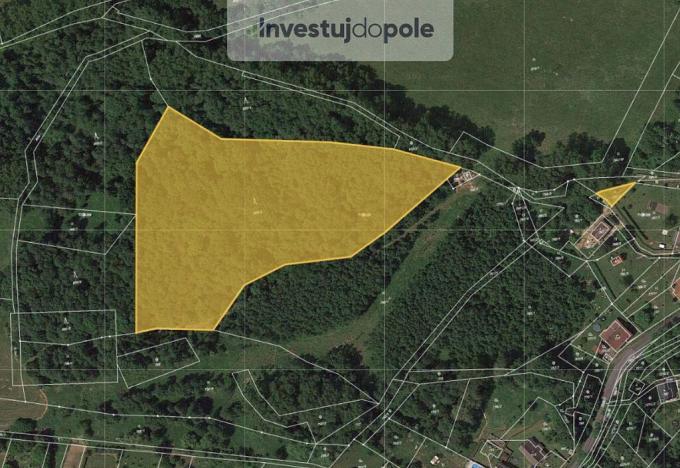 Prodej lesa, Valkeřice, 10230 m2