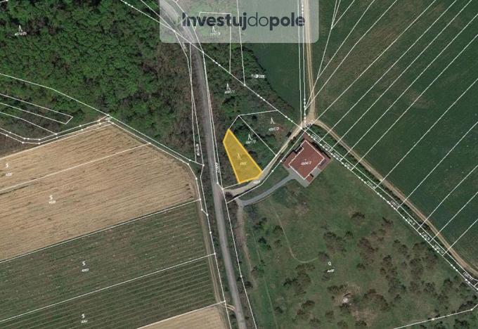 Prodej lesa, Dolní Kounice, 438 m2
