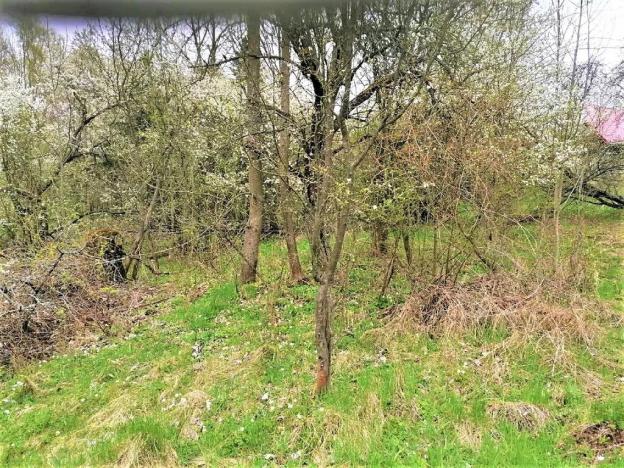 Prodej podílu pozemku pro bydlení, Veselá, 340 m2