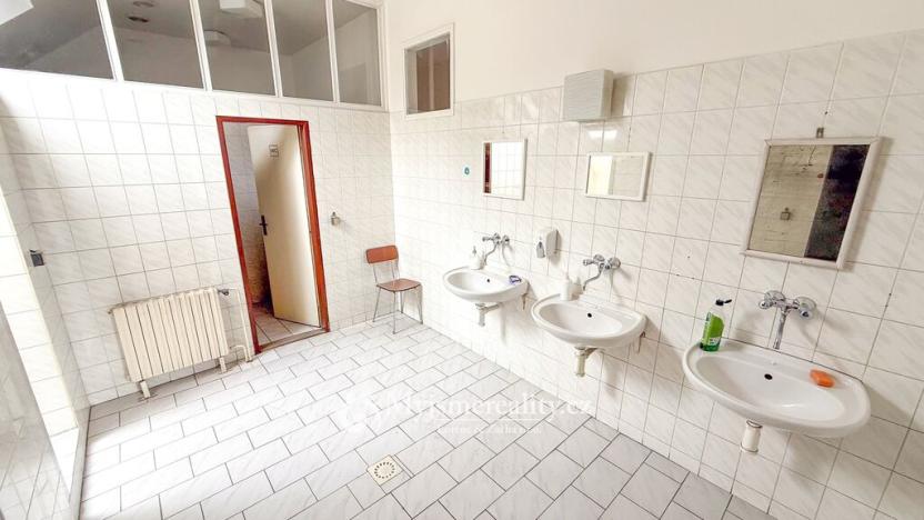 Prodej obchodního prostoru, Jihlava - Hruškové Dvory, 796 m2