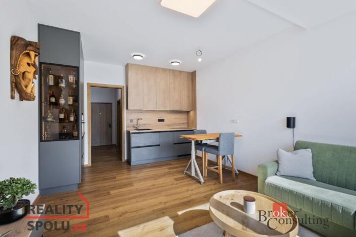 Pronájem bytu 1+kk, Plzeň - Jižní Předměstí, Železná, 31 m2