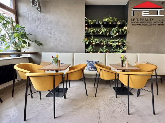 Pronájem restaurace, Brno - Trnitá, Křenová, 100 m2