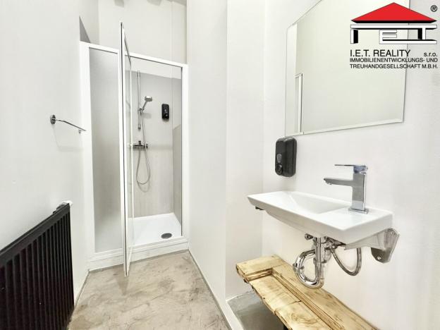 Pronájem restaurace, Brno - Trnitá, Křenová, 100 m2