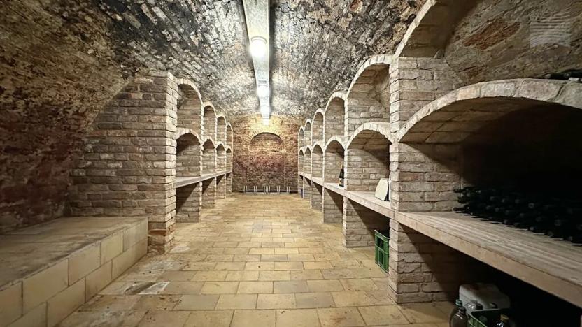 Prodej rodinného domu, Strachotín, Sklepní, 285 m2