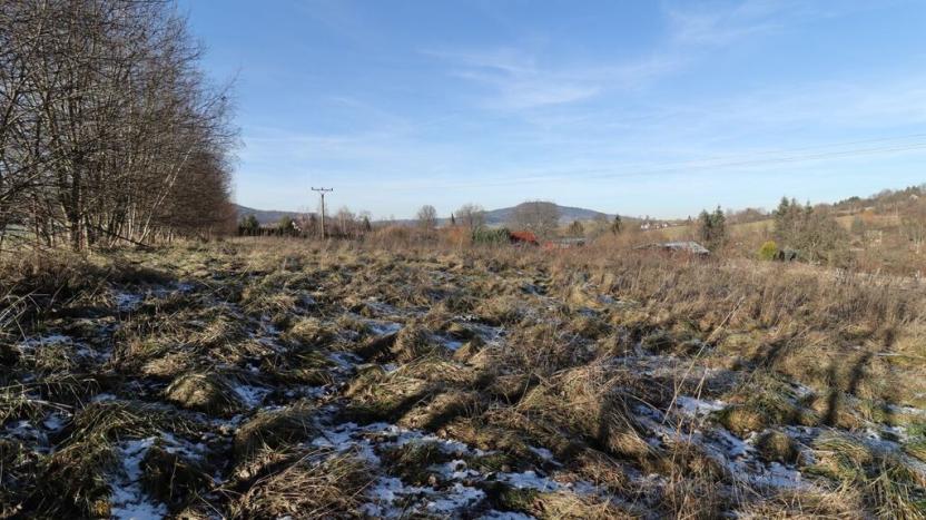 Prodej pozemku pro bydlení, Dlouhá Ves, 5812 m2