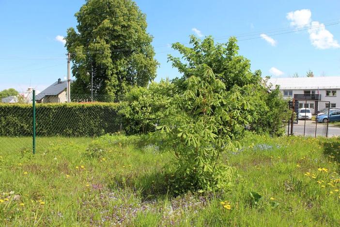 Prodej pozemku pro bydlení, Zlaté Hory, Polská, 880 m2