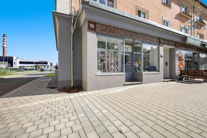 Prodej obchodního prostoru, Holešov, U Letiště, 55 m2
