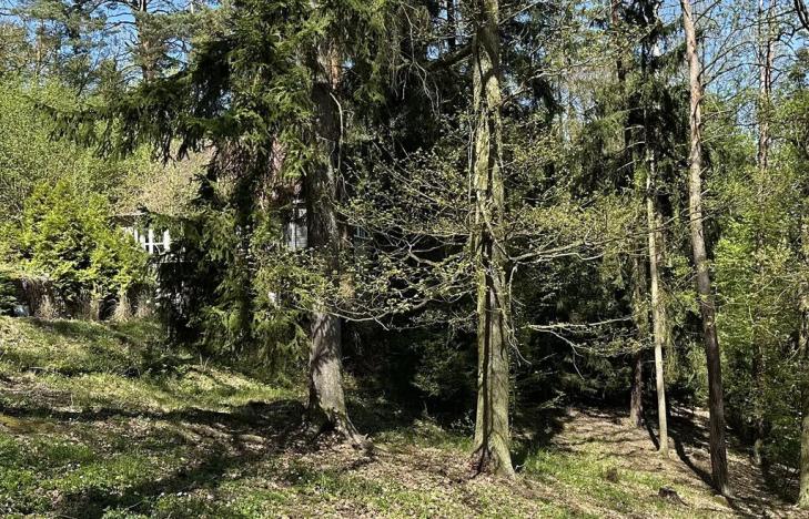 Prodej chaty, Štěchovice, 170 m2