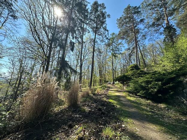 Prodej chaty, Štěchovice, 170 m2