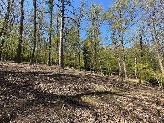 Prodej chaty, Štěchovice, 170 m2