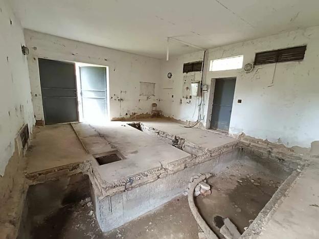 Prodej - jiné, Olomouc, Profesora Fuky, 40 m2