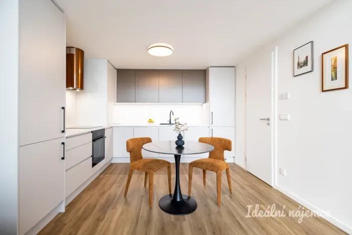 Pronájem bytu 1+kk, Praha - Holešovice, V háji, 43 m2