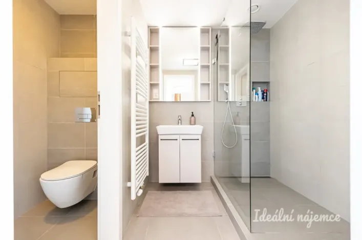 Pronájem bytu 1+kk, Praha - Holešovice, V háji, 43 m2