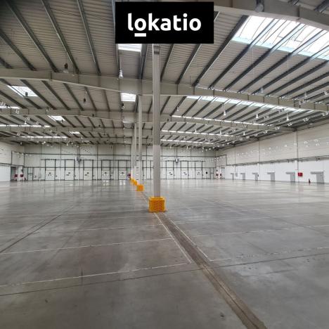 Pronájem skladu, Rudná, 7146 m2