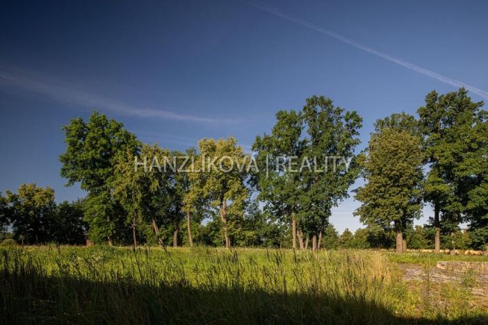 Prodej zemědělské usedlosti, Pištín, 200 m2