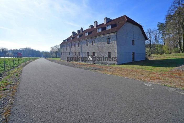 Pronájem komerční nemovitosti, Divišov - Šternov, 19144 m2