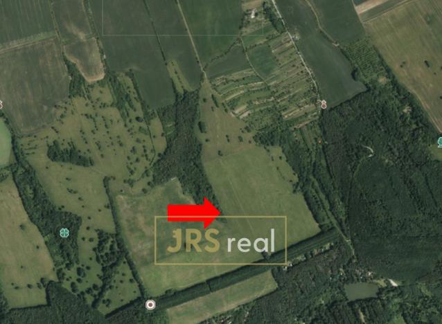 Prodej pole, Kněždub, 7019 m2