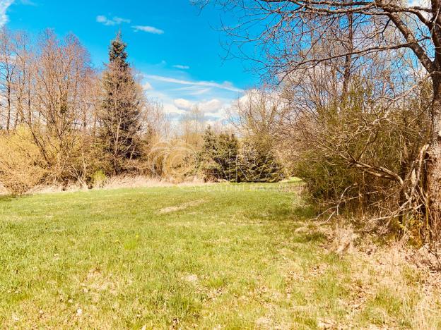 Prodej pozemku pro bydlení, Rožmitál pod Třemšínem, 2191 m2