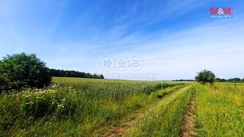 Prodej pole, Měnín, 31465 m2